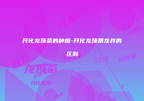 开化龙顶茶的种植-开化龙顶跟龙井的区别