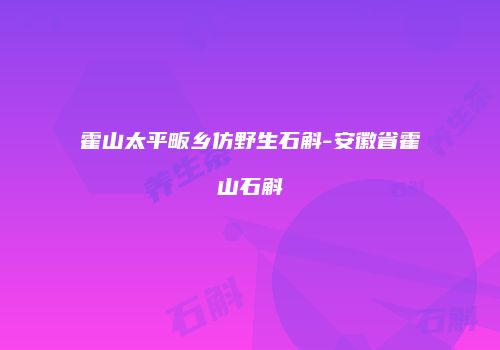 霍山太平畈乡仿野生石斛-安徽省霍山石斛