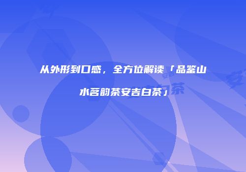 从外形到口感，全方位解读「品鉴山水茗韵茶安吉白茶」