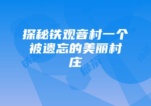 探秘铁观音村一个被遗忘的美丽村庄