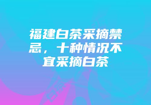 福建白茶采摘禁忌，十种情况不宜采摘白茶