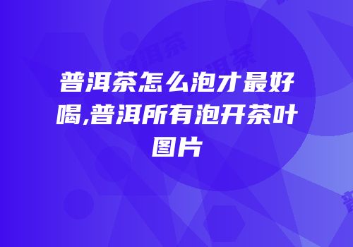 普洱茶怎么泡才最好喝,普洱所有泡开茶叶图片
