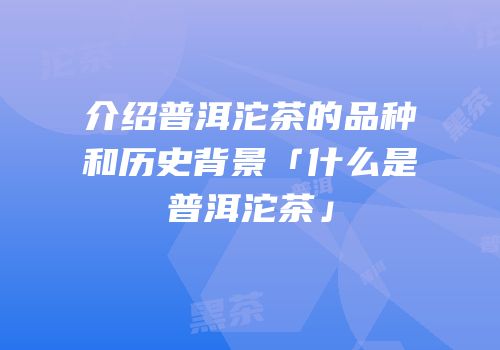 介绍普洱沱茶的品种和历史背景「什么是普洱沱茶」