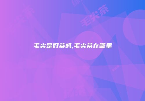 毛尖是好茶吗,毛尖茶在哪里