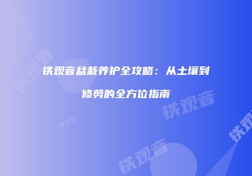 铁观音盆栽养护全攻略：从土壤到修剪的全方位指南