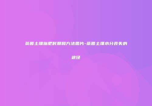 茶园土壤施肥时期和方法图片-茶园土壤水分丧失的途径