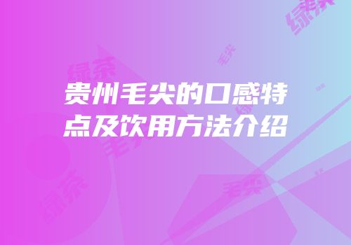 贵州毛尖的口感特点及饮用方法介绍