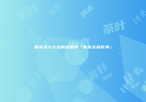 桐木关什么坑的茶最好「桐木关茶叶禅」