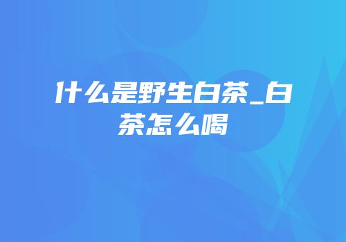 什么是野生白茶_白茶怎么喝