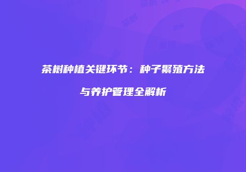 茶树种植关键环节：种子繁殖方法与养护管理全解析