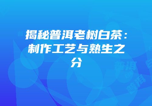 揭秘普洱老树白茶：制作工艺与熟生之分