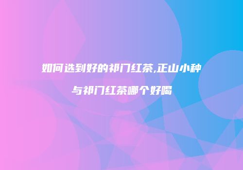 如何选到好的祁门红茶,正山小种与祁门红茶哪个好喝