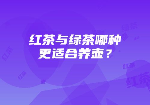 红茶与绿茶哪种更适合养壶？