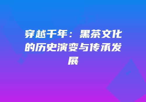 穿越千年：黑茶文化的历史演变与传承发展
