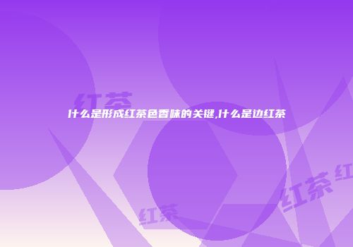 什么是形成红茶色香味的关键,什么是边红茶