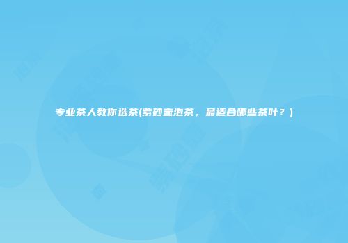 专业茶人教你选茶(紫砂壶泡茶，最适合哪些茶叶？)