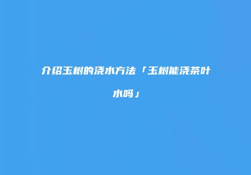 介绍玉树的浇水方法「玉树能浇茶叶水吗」