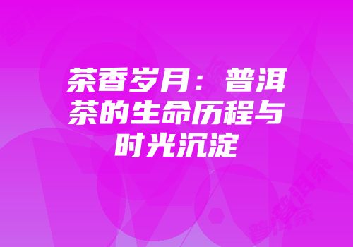茶香岁月：普洱茶的生命历程与时光沉淀