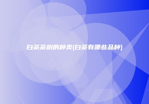 白茶茶树的种类(白茶有哪些品种)