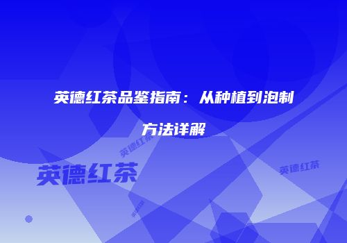 英德红茶品鉴指南：从种植到泡制方法详解