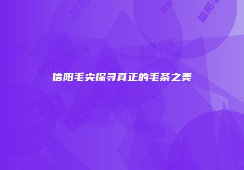 信阳毛尖探寻真正的毛茶之美