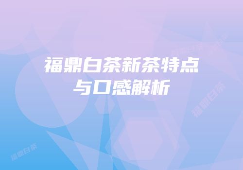 福鼎白茶新茶特点与口感解析