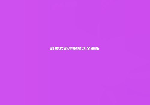 武夷岩茶冲泡技艺全解析