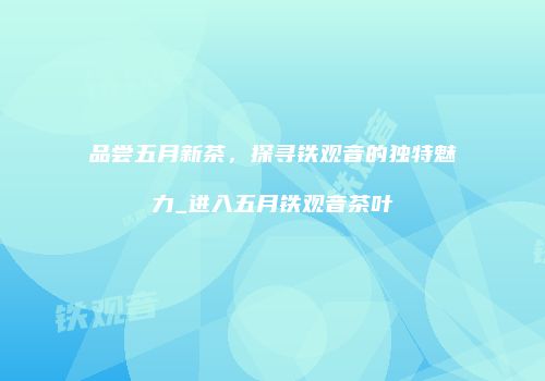 品尝五月新茶，探寻铁观音的独特魅力_进入五月铁观音茶叶