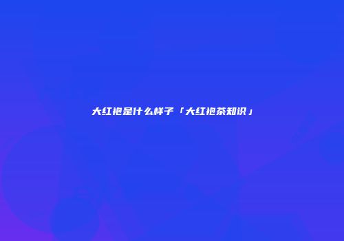 大红袍是什么样子「大红袍茶知识」
