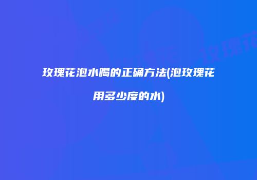 玫瑰花泡水喝的正确方法(泡玫瑰花用多少度的水)