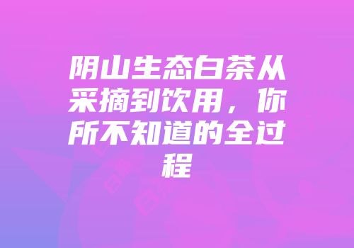 阴山生态白茶从采摘到饮用，你所不知道的全过程