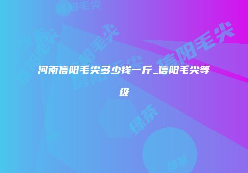 河南信阳毛尖多少钱一斤_信阳毛尖等级
