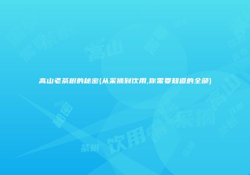 高山老茶树的秘密(从采摘到饮用,你需要知道的全部)