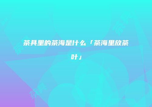 茶具里的茶海是什么「茶海里放茶叶」