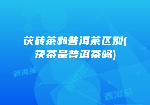 茯砖茶和普洱茶区别(茯茶是普洱茶吗)
