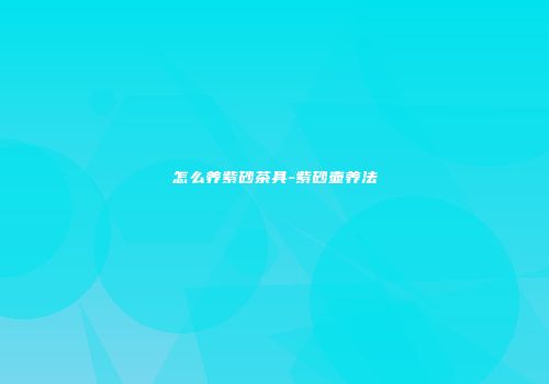 怎么养紫砂茶具-紫砂壶养法