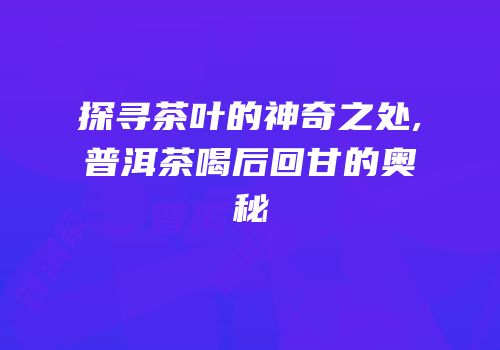 探寻茶叶的神奇之处,普洱茶喝后回甘的奥秘