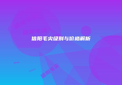 信阳毛尖级别与价格解析