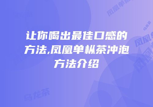 让你喝出最佳口感的方法,凤凰单枞茶冲泡方法介绍