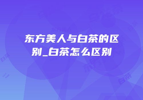 东方美人与白茶的区别_白茶怎么区别