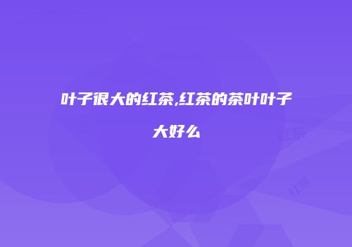 叶子很大的红茶,红茶的茶叶叶子大好么