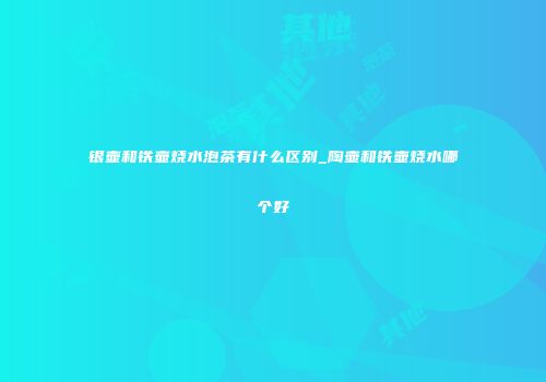 银壶和铁壶烧水泡茶有什么区别_陶壶和铁壶烧水哪个好