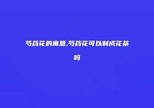 芍药花的寓意,芍药花可以制成花茶吗