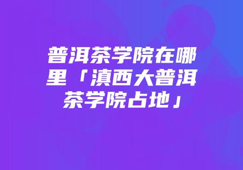 普洱茶学院在哪里「滇西大普洱茶学院占地」