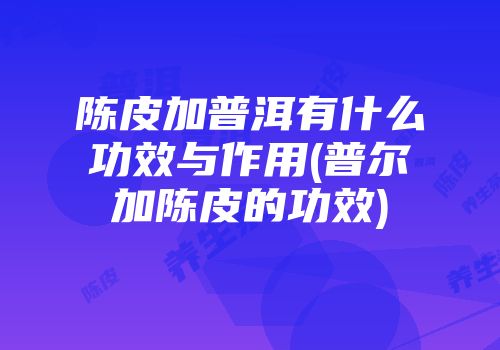 陈皮加普洱有什么功效与作用(普尔加陈皮的功效)