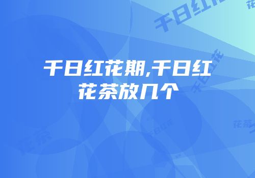 千日红花期,千日红花茶放几个