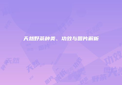 天然野茶种类、功效与图片解析