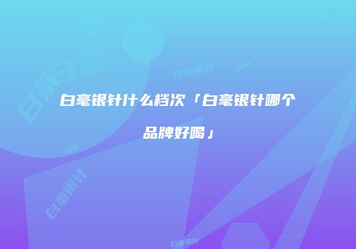 白毫银针什么档次「白毫银针哪个品牌好喝」