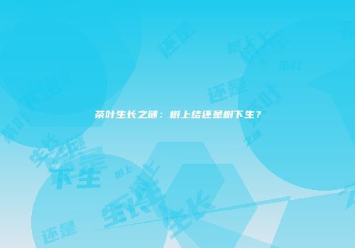 茶叶生长之谜：树上结还是树下生？