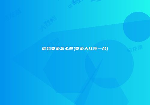 御合贡茶怎么样(贡茶大红袍一合)